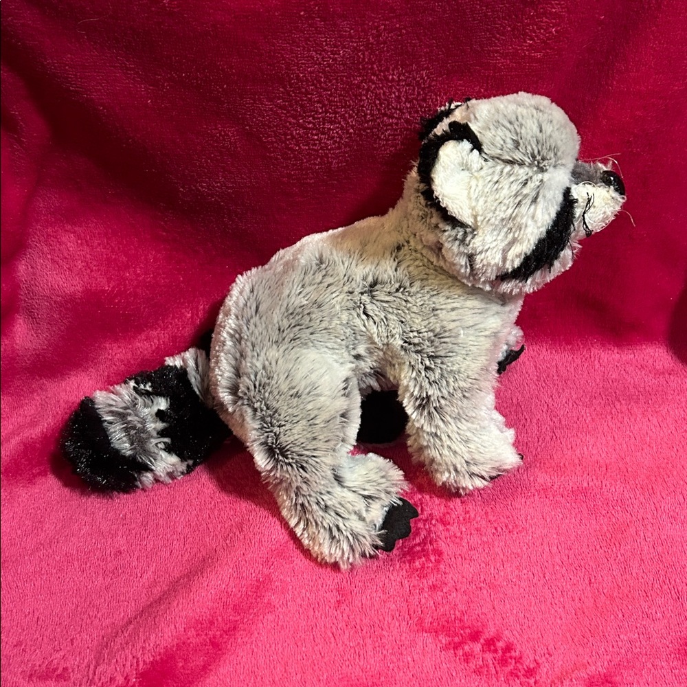 Webkinz Racoon - Picture 2 of 4